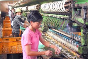 BÀI 6 – Lâm Đồng: Hồi sinh nghề trồng dâu nuôi tằm