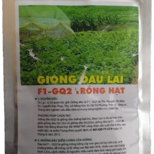 Hạt giống Dâu lai F1