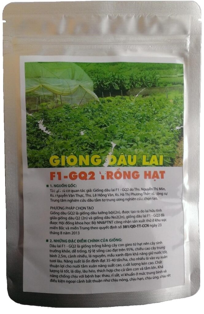 Hạt giống Dâu lai F1